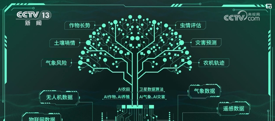 “種地種出成就感”！衛(wèi)星巡田、遠(yuǎn)程田管農(nóng)業(yè)生產(chǎn)煥發(fā)新活力(圖3)