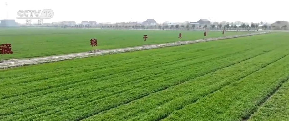 “種地種出成就感”！衛(wèi)星巡田、遠(yuǎn)程田管農(nóng)業(yè)生產(chǎn)煥發(fā)新活力(圖14)