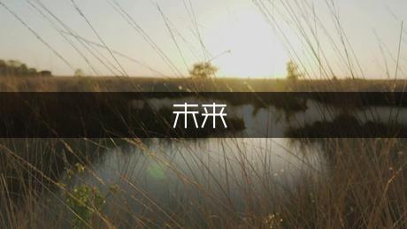 ST-5 微小衛(wèi)星及其空間飛行驗(yàn)-為未來(lái)微小衛(wèi)星的空間應(yīng)用展