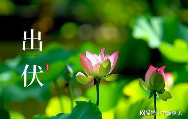 出伏晴雨定冬寒？19日天氣藏玄機(jī)