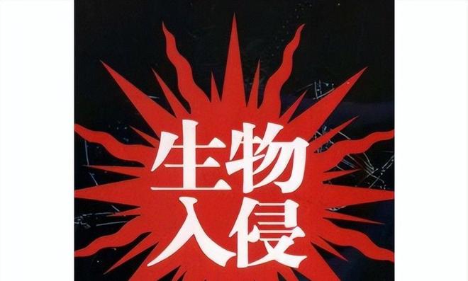 海關(guān)截獲美國(guó)“特工蚊”多種病毒最快7天發(fā)作又來(lái)禍害中國(guó)？(圖2)