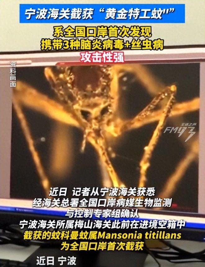 海關(guān)截獲美國“特工蚊”多種病毒最快7天發(fā)作又來禍害中國？
