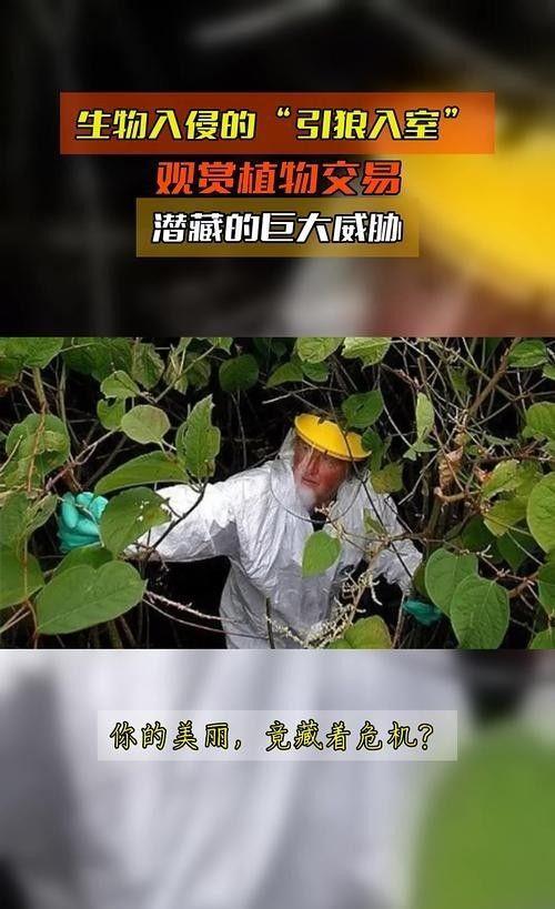 海關(guān)截獲美國(guó)“特工蚊”多種病毒最快7天發(fā)作又來(lái)禍害中國(guó)？(圖4)