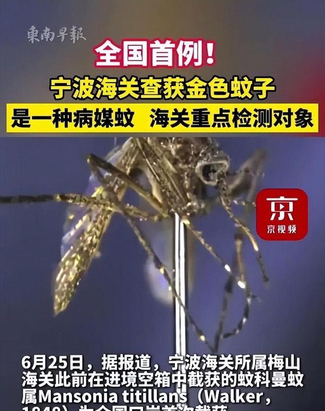 海關(guān)截獲美國(guó)“特工蚊”多種病毒最快7天發(fā)作又來(lái)禍害中國(guó)？(圖9)